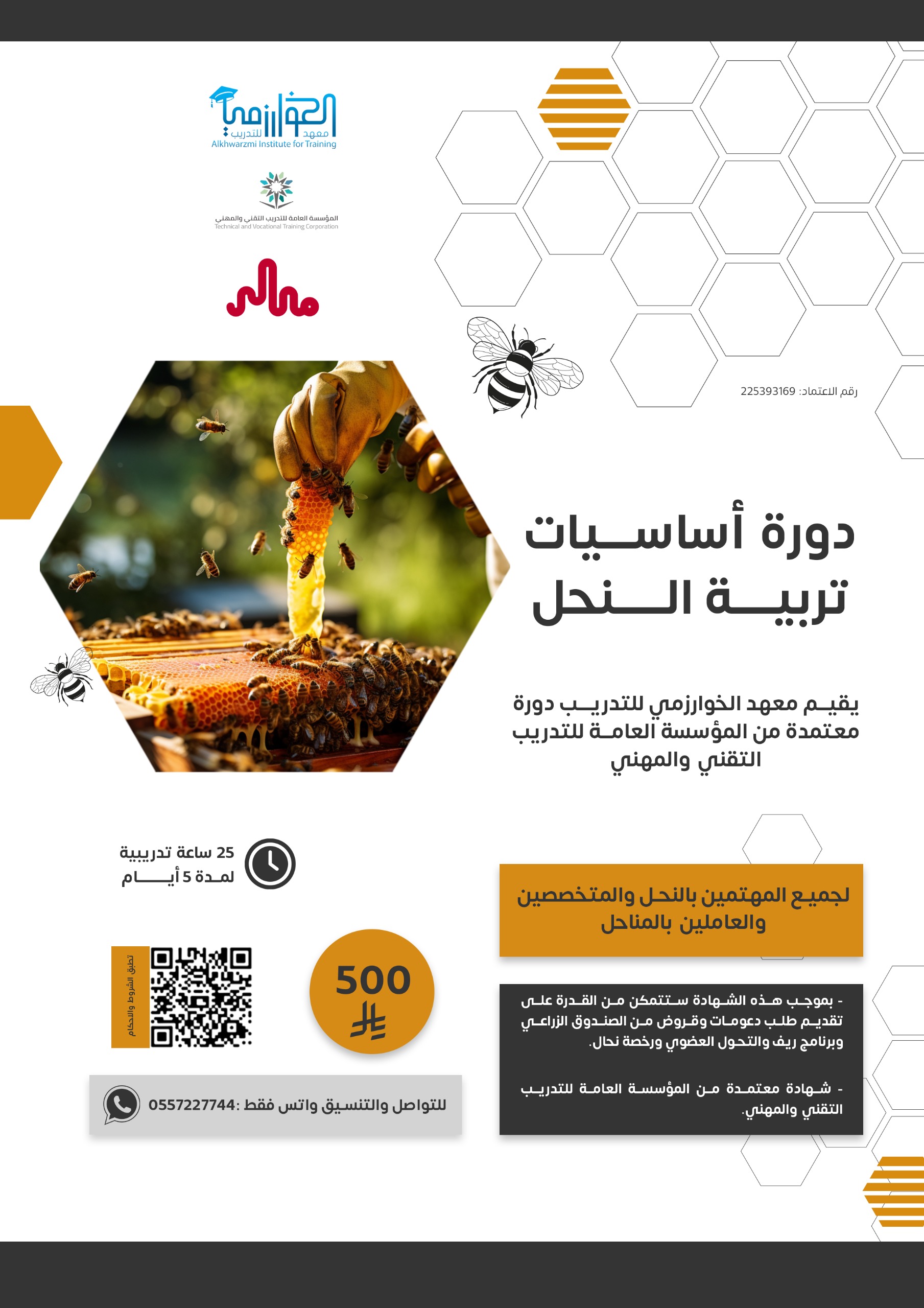 دورة ترويجية